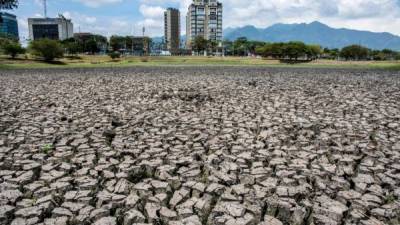 Dos lagos artificiales que adornan los principales parques urbanos de la capital costarricense se han quedado secos y sin la presencia de aves que llegaban a pescar a sus aguas, a causa de la fuerte sequía que afectó al país recientemente.