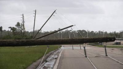 Varios postes del tendido eléctrico colapsaron.