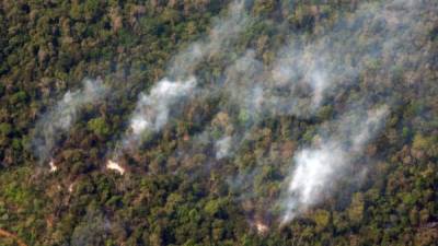 Entre 2010 y lo que va de 2019, Honduras registra 9.255 incendios forestales que han destruido un total de 520.250 hectáreas de bosques, según el informe del Instituto de Conservación Forestal del país (ICF). EFE/Archivo