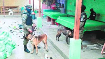 En el penal de Comayagua se encontró una antena para captar señal de sistema wi-fi.