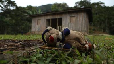 El juguete de uno de los niños quedó fuera de la casa adonde sucedió el segundo crimen. La vivienda está en medio de un cafetal.