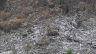 El fenómeno, podría ser más grave de lo que hasta ahora se ha venido creyendo. EFE/Archivo.