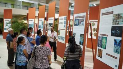 La muestra ha recibido miles de visitas de personas de distintas partes de Honduras y el extranjero. Fotos: CRistina santos