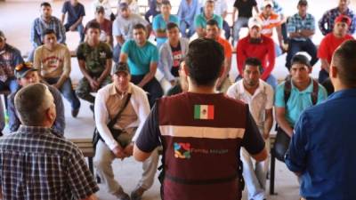 Es la tercera jornada que se realiza en el país, en la que jóvenes y agricultores acuden para inscribirse y ser beneficiarios del apoyo que México da ante el desplazamiento de hondureños a EEUU.