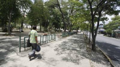 En el barrio Las Palmas funciona un parque que es mantenido por la alcaldía sampedrana. Por mucho tiempo no se han hecho mejoras. Foto: Wendell Escoto