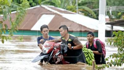 Familias en la colonia La Democracia volvieron a sufrir por las inundaciones, menos de dos semanas después del paso de Eta. Fotos: Edwin Neptalí Romero, Cuerpo de Bomberos y Municipalidad de El Progreso.