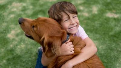 Portrait of a happy boy outdoors hugging a beautiful dog - lifestyle concepts