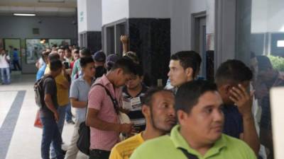 Las personas interesadas deben acudir al barrio Las Acacias, segunda avenida, entre primera y segunda calle.