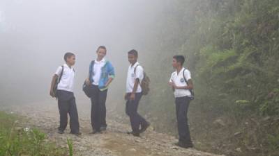 Cuatro estudiantes de séptimo grado de Neblinas, El Merendón, se aprestan al amanecer para recorrer siete kilómetros para llegar al centro básico Lempira. Foto: Franklin Muñoz