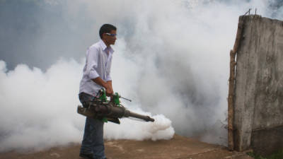 Foto de archivo. Autoridades realizan fumigaciones, pero piden a la población tener los cuidados necesarios.