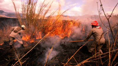 En la capital los bomberos han tenido bastante trabajo sofocando incendios de maleza.