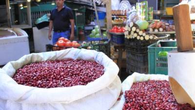 Actualmente en los mercados sampedranos hay suficientes frijoles.