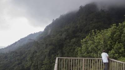 Los miradores de Pancam ofrecen una vista del Parque Nacional Cerro Azul Meámbar y del Lago de Yojoa.