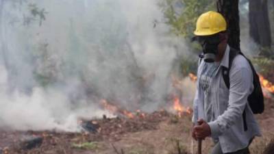 Varios de los incendios son provocados.