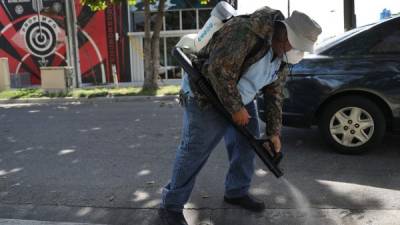 Un inspector de control de mosquitos del condado Miami-Dade fumiga insecticida una calle en la ciudad de Miami. Foto: AFP