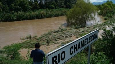 Las crecidas del río Ulúa han causado inundaciones en 160 casas y pérdidas de cultivos en la zona baja de Potrerillos, Cortés.