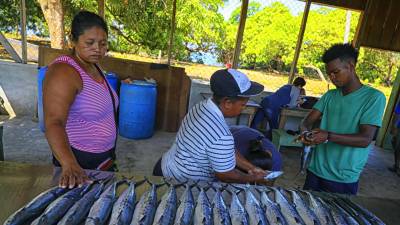 Indígenas de la etnia Miskita limpian pescados, el 24 de mayo de 2023, en la comunidad de Yahurabila (Honduras).
