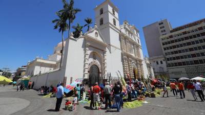 Campesinos venden hoy ramos de palma para las actividades de Semana Santa, en el atrio de la catedral metropolitana en Tegucigalpa.