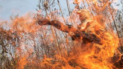 Los bomberos y militares aún no logran controlar los fuegos en la Amazonía brasileña./EFE.