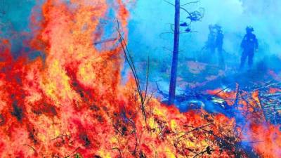 Las constantes quemas que ocurren en el país afectan al ambiente.