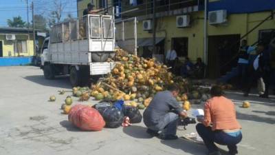 El camión cargado de cocos llevaba tres sacos de supuesta marihuana.