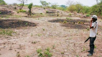 Honduras ha pedido más de 13 millones de dólares de ayuda internacional para combatir la crisis medioambiental.