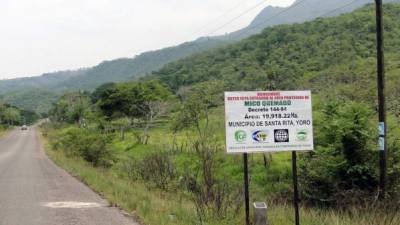 La montaña Mico Quemado está incorporada al Sistema Nacional de Áreas Protegidas.