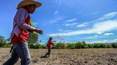 En Centroamérica Honduras solo supera a El Salvador en crecimiento y sorprende el ritmo de Nicaragua con una proyección de 4.3%. Foto: Yoseph Amaya