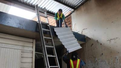 Cuadrillas de trabajo reemplazan láminas viejas por materiales nuevos en el mercado Medina.