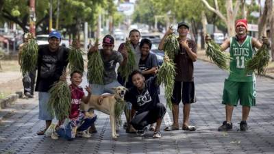 Foto: La Prensa