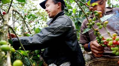 El objetivo del evento es exponer los avances para combatir las plagas y enfermedades que atacan los cultivos.