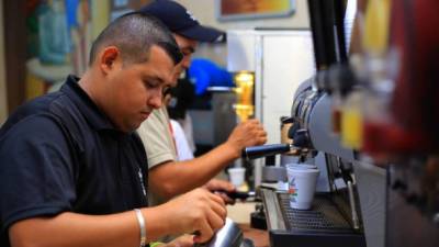 Fondos sirven a productores para dar asistencia técnica a sus fincas.