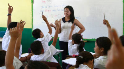 Los docentes no han realizado ninguna asamblea informativa en 2014.