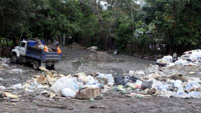 Todos los días, carreteros tiran basura en el predio.