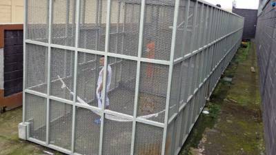 Reclusos confinados en el pabellón de máxima seguridad de la Penitenciaría Nacional toman el sol en jaulas bajo medidas extremas. Fotos: LA PRENSA