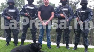 Héctor Emilio Fernández Rosa fue detenido ayer en una residencia en El Hatillo, en Tegucigalpa, fue sorprendido por un operativo policial ejecutado por los Tigres.
