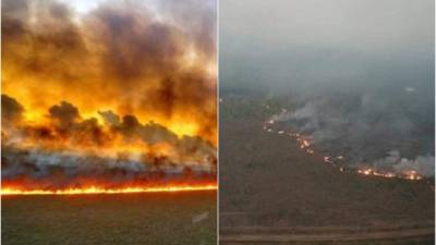 Las selvas de la Amazonia y otras regiones de Brasil están en llamas desde hace 16 días, provocando uno de los más grandes incendios de la historia en la zona.