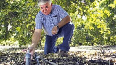 Dan Galbraith muestra la parte superior de un sensor de agua en una plantación de limoneros en Terra Bella, California.