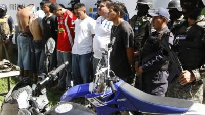 Los nueve detenidos en la operación.