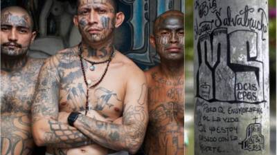 1. Mara Salvatrucha: Donald Trump prometió erradicar de las calles de Estados Unidos a la sanguinaria pandilla hispana MS-13, nacida en Los Angeles en los años 80 y hoy con unos 10.000 miembros en todo el país. La ofensiva del presidente busca deportar a todos los pandilleros originarios del Triángulo Norte de Centroamérica y que siembran el terror en las grandes ciudades de EUA.