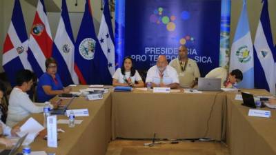 En un ambiente tropical, con escasa presencia policial y militar, al menos visible, los presidentes de ocho países de la región se encontrarán este día en el hotel Pristine Bay de Roatán.