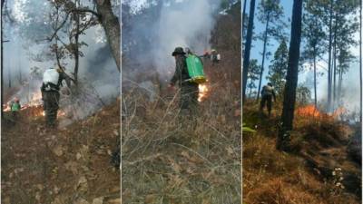 Bomberos sofocan el incendio forestal en Valle de Ángeles.