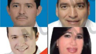 Ellos son los diputados que marchan en primer lugar en el departamento de Comayagua.