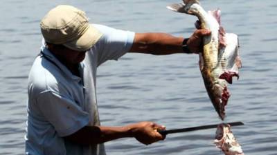 Los pescadores hondureños del golfo se verán beneficiados con fondos.