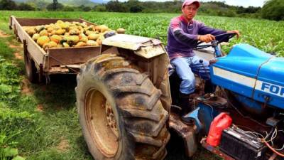 El préstamo beneficiaria a los pequeños productores nacionales.