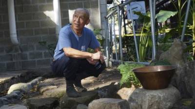Voluntario construye primer jardín japonés en San Pedro Sula