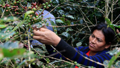Según las autoridades, en Centroamérica se perdieron unos 500 mil empleos, de los que 100 mil estuvieron en Honduras.