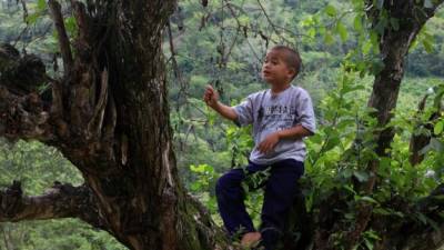 El niño se entretiene jugando en los alrededores de su casa. Sale al monte, pero no ha vuelto a la montaña: Foto: Amílcar Izaguirre