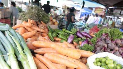 Los acuerdos con el FMI no han mejorado el acceso a los alimentos, según los obreros.