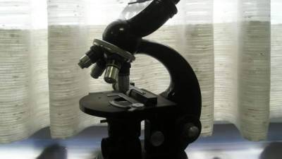 Piededoto: Vista de un microscopio. EFE/Archivo